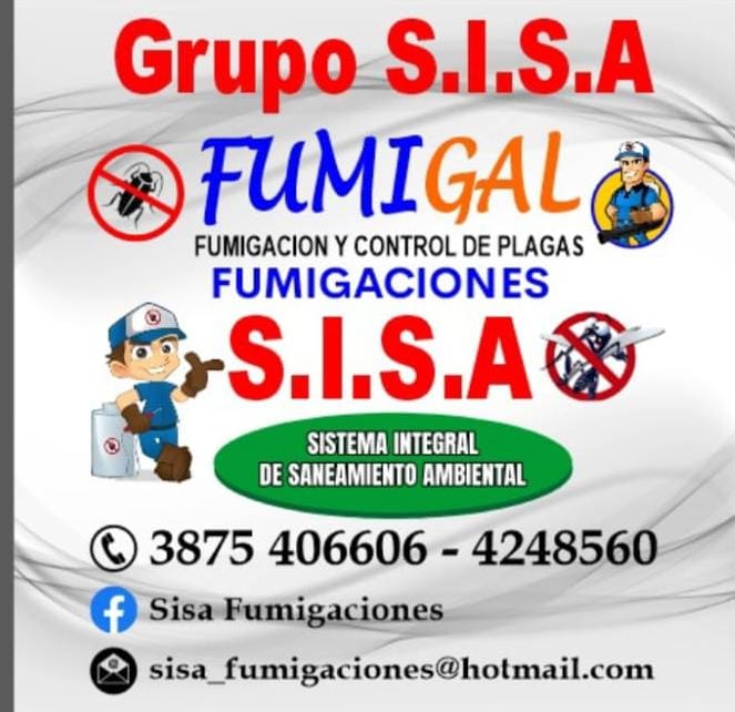 GRUPO S.I.S.A.